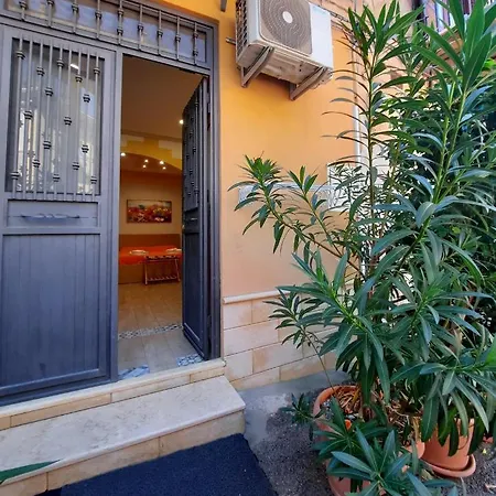 Il Sole della Guilla-3